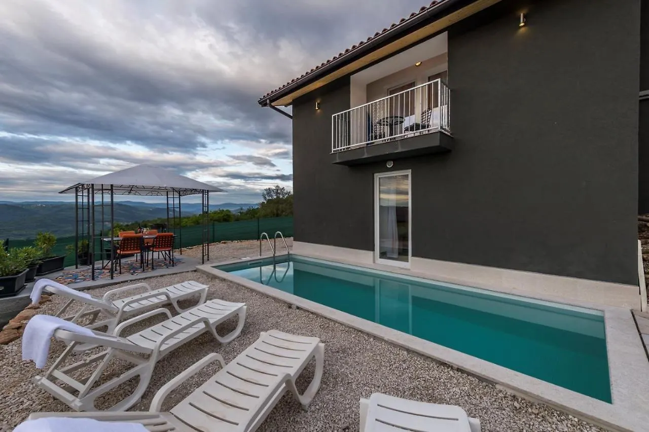 Villa Art House With Pool Vizinada