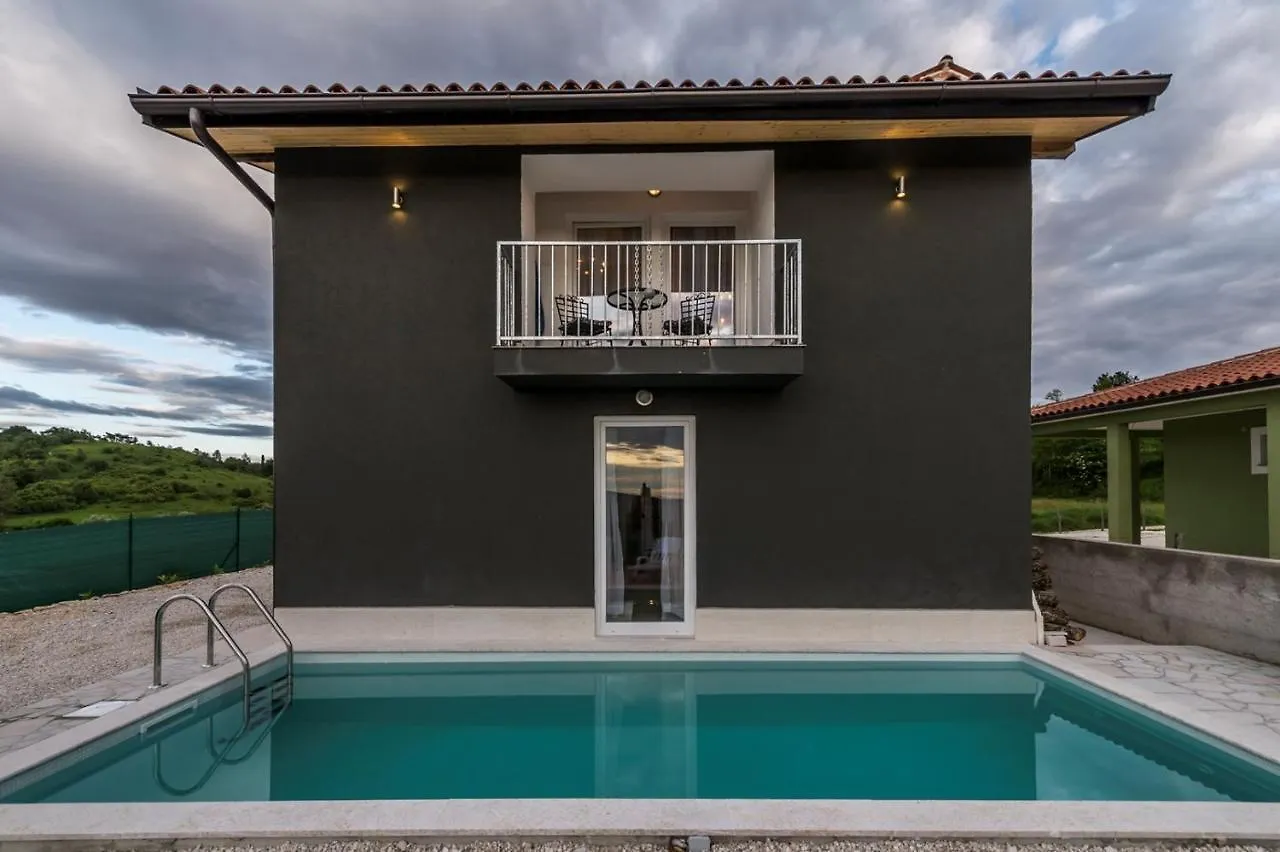 Villa Art House With Pool Vizinada 0*,